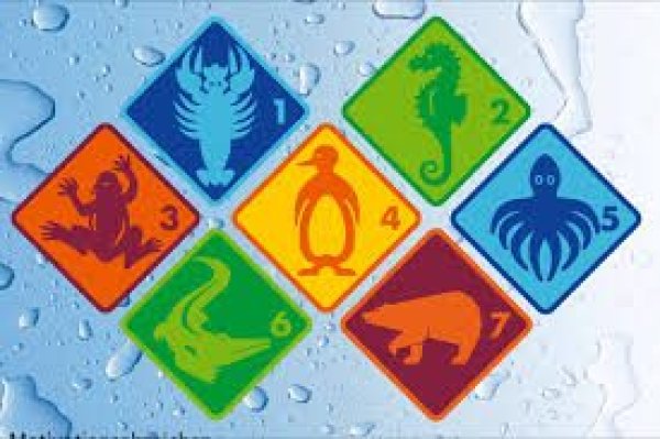 Sommerschwimmkurse Gartenbad Bottmingen 2026